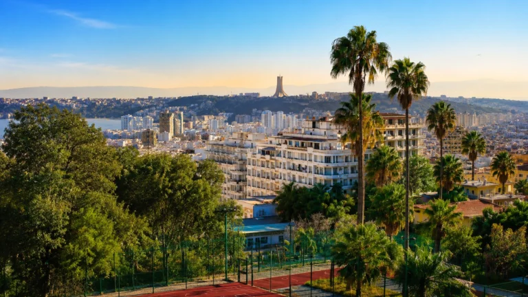 Vue panoramique d’Alger avec Notre-Dame d’Afrique et palmiers